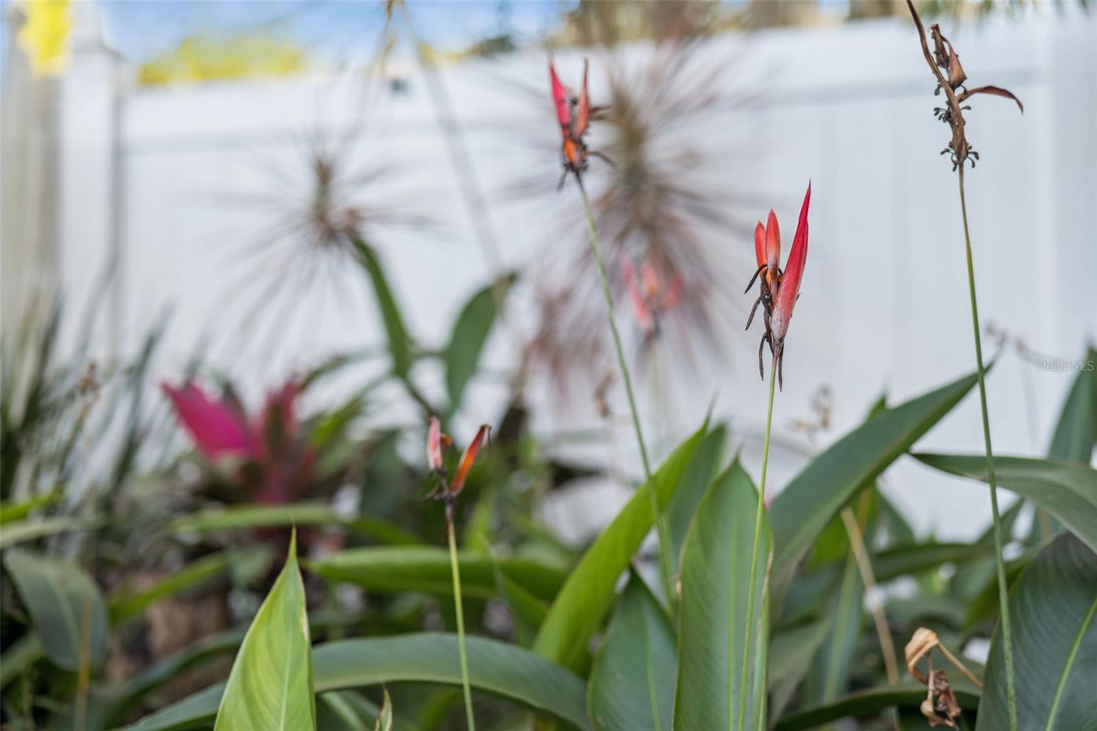 Image 30 of 34 For 192 Kelly Circle