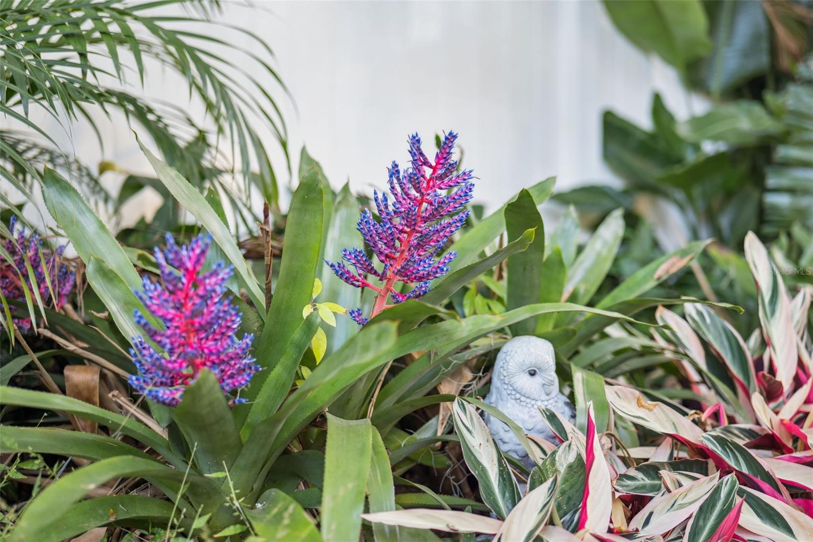 Image 31 of 34 For 192 Kelly Circle