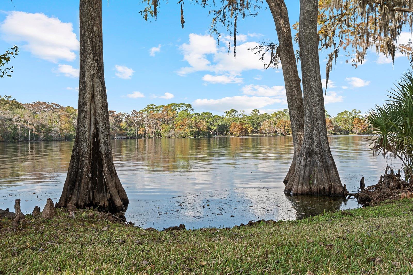 Image 49 of 83 For 520 Lake Mills Road