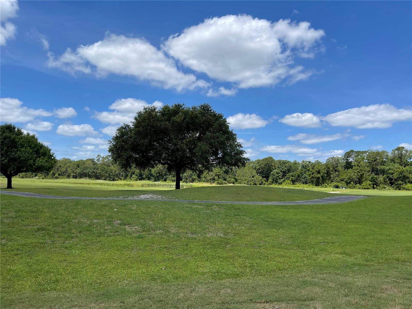 Image 15 of 22 For 3430 Sagebrush Street