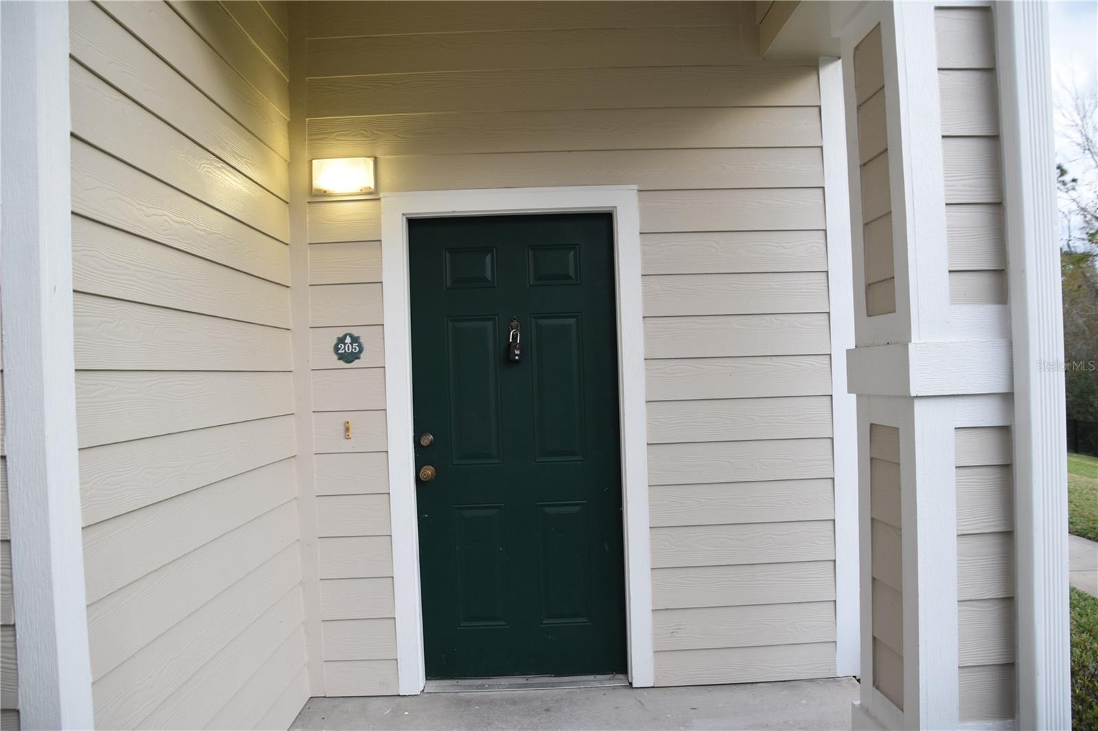 Image 2 of 47 For 316 Southern Pecan Circle 205