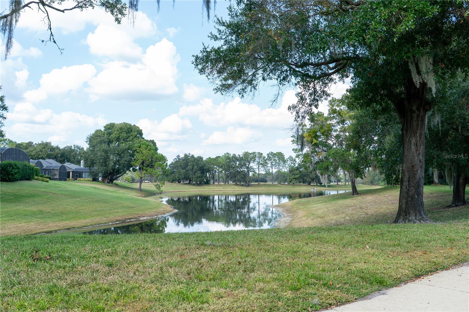 Image 11 of 90 For 552 Teton Street