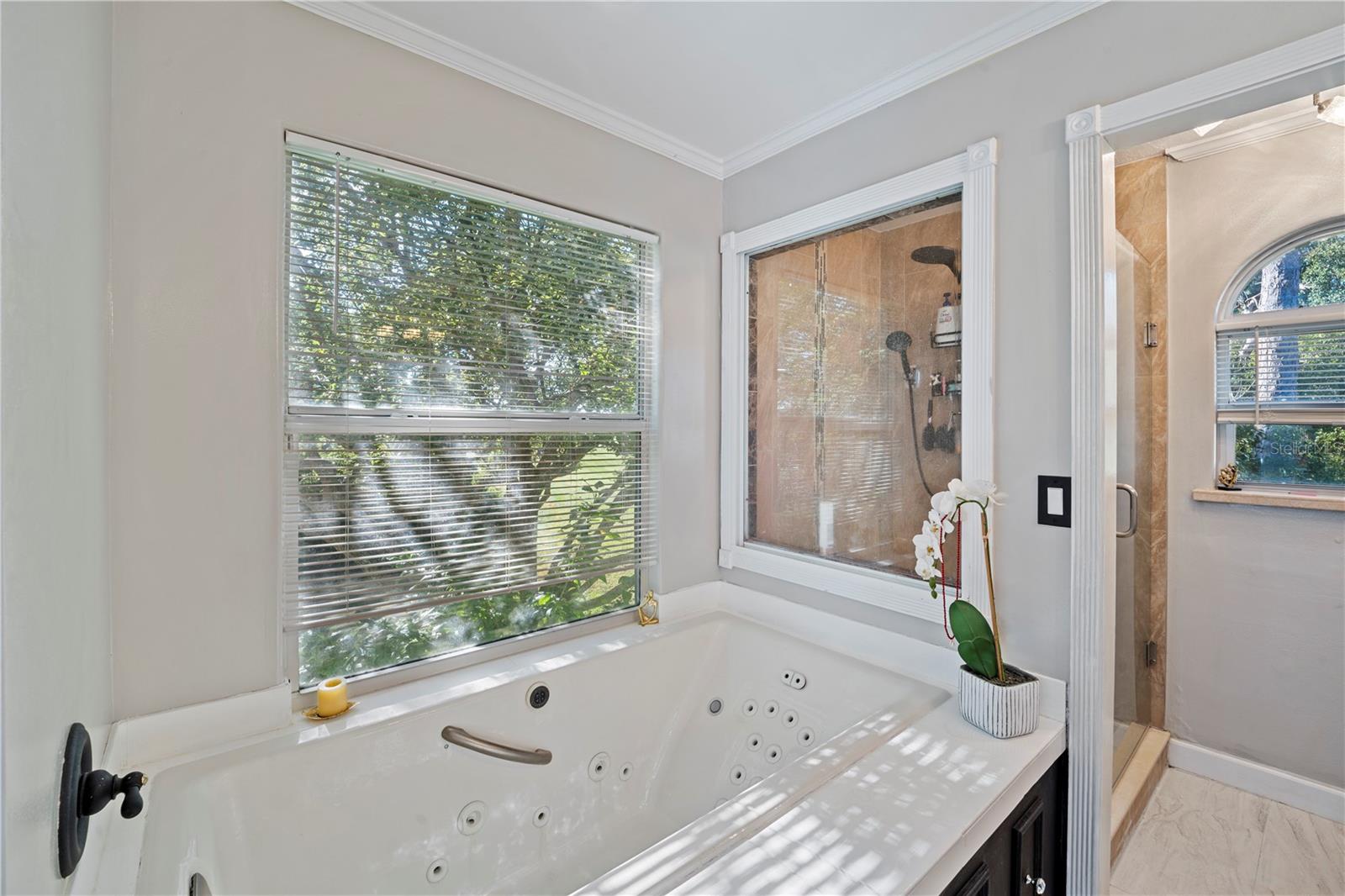 Image 23 of 36 For 2649 Albion Avenue