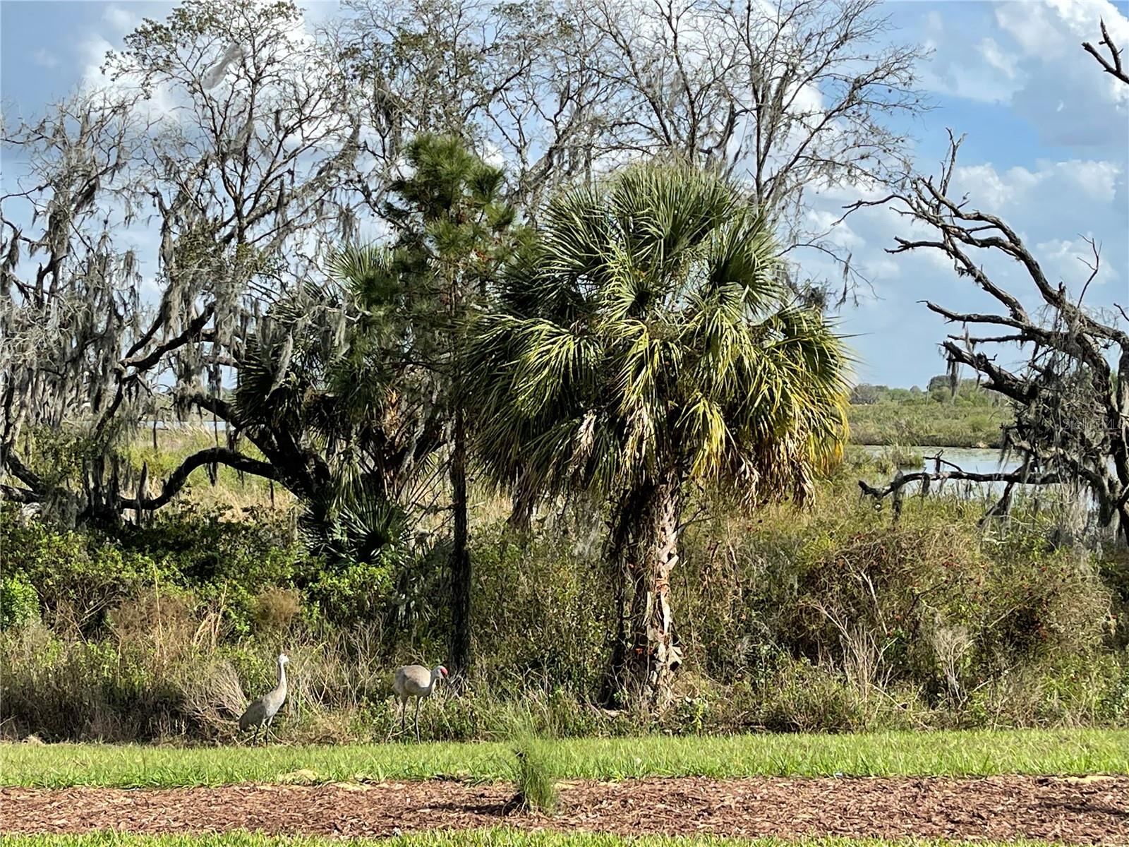 Image 37 of 54 For 8950 Fallen Oak Drive