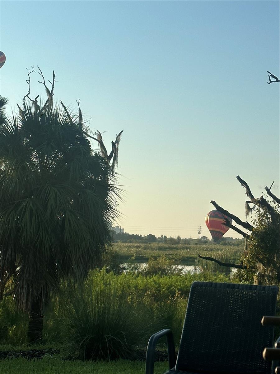 Image 38 of 54 For 8950 Fallen Oak Drive