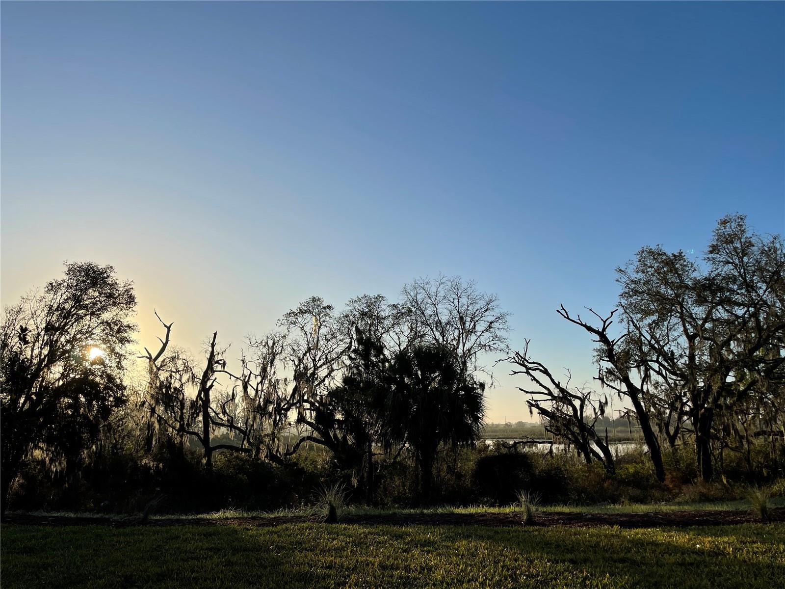 Image 39 of 54 For 8950 Fallen Oak Drive