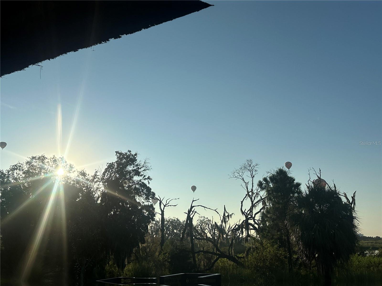 Image 41 of 54 For 8950 Fallen Oak Drive