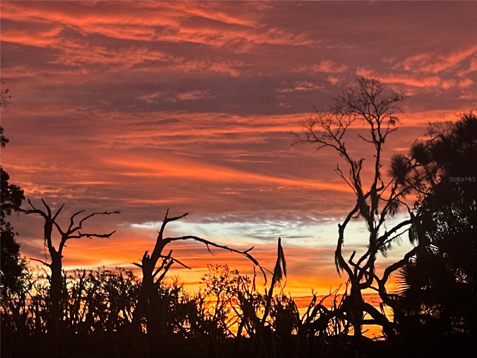 Image 45 of 54 For 8950 Fallen Oak Drive