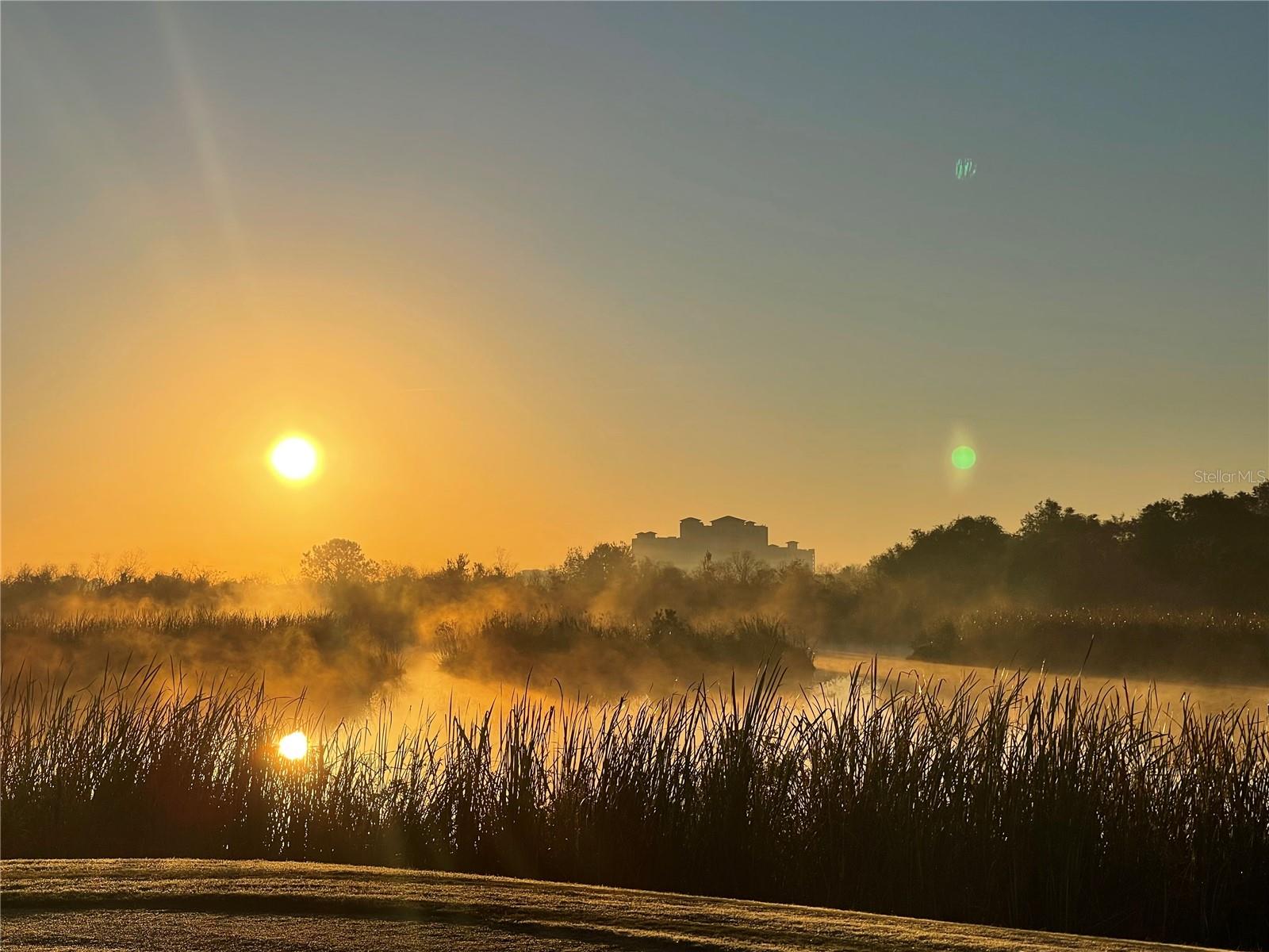 Image 47 of 54 For 8950 Fallen Oak Drive