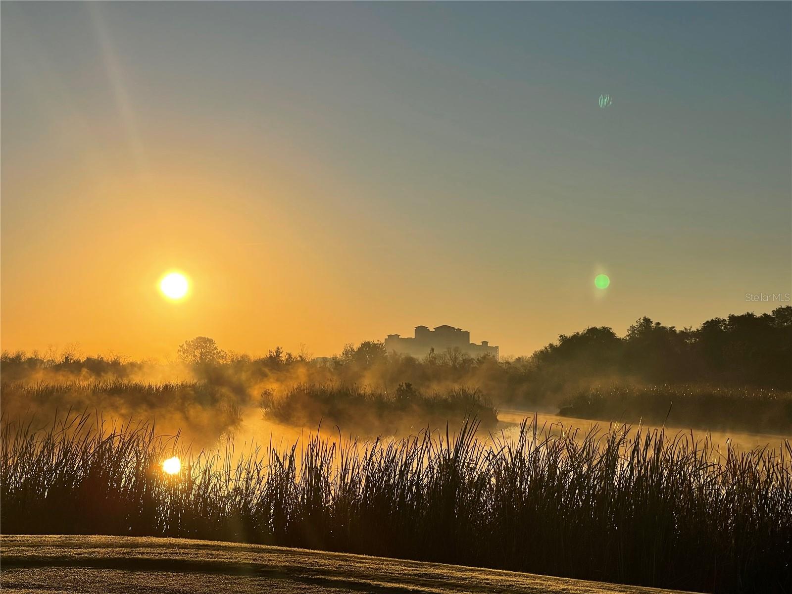 Image 48 of 54 For 8950 Fallen Oak Drive