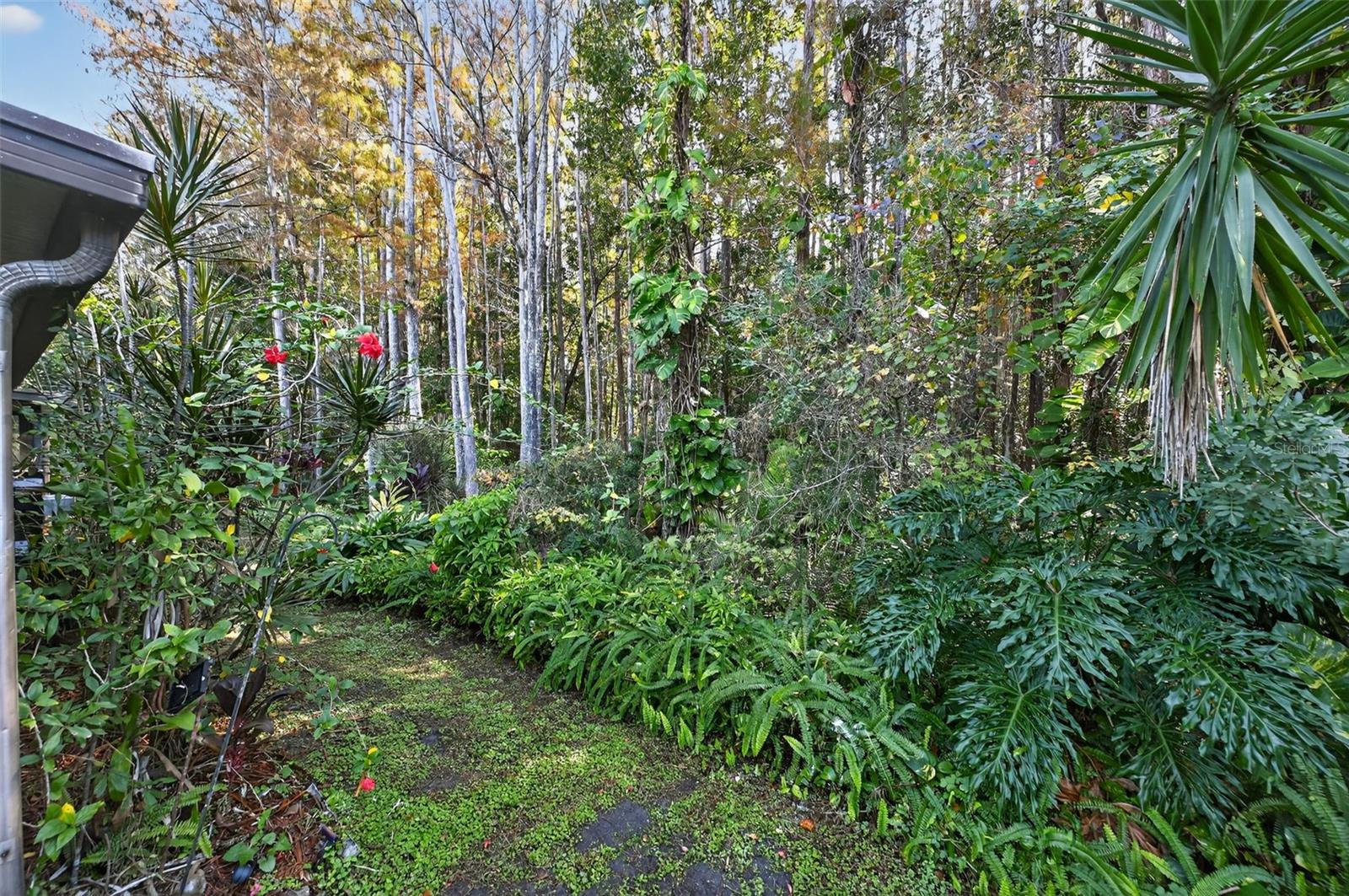 Image 5 of 33 For 5812 Red Cedar Lane