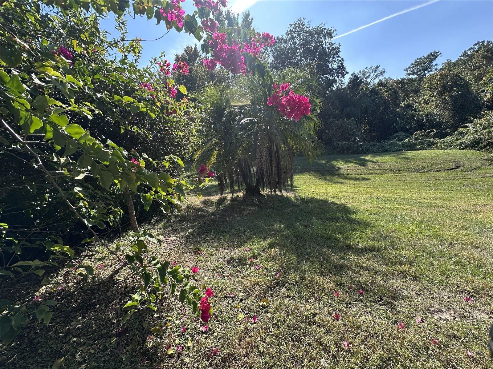 Image 32 of 38 For 515 Whittier Street