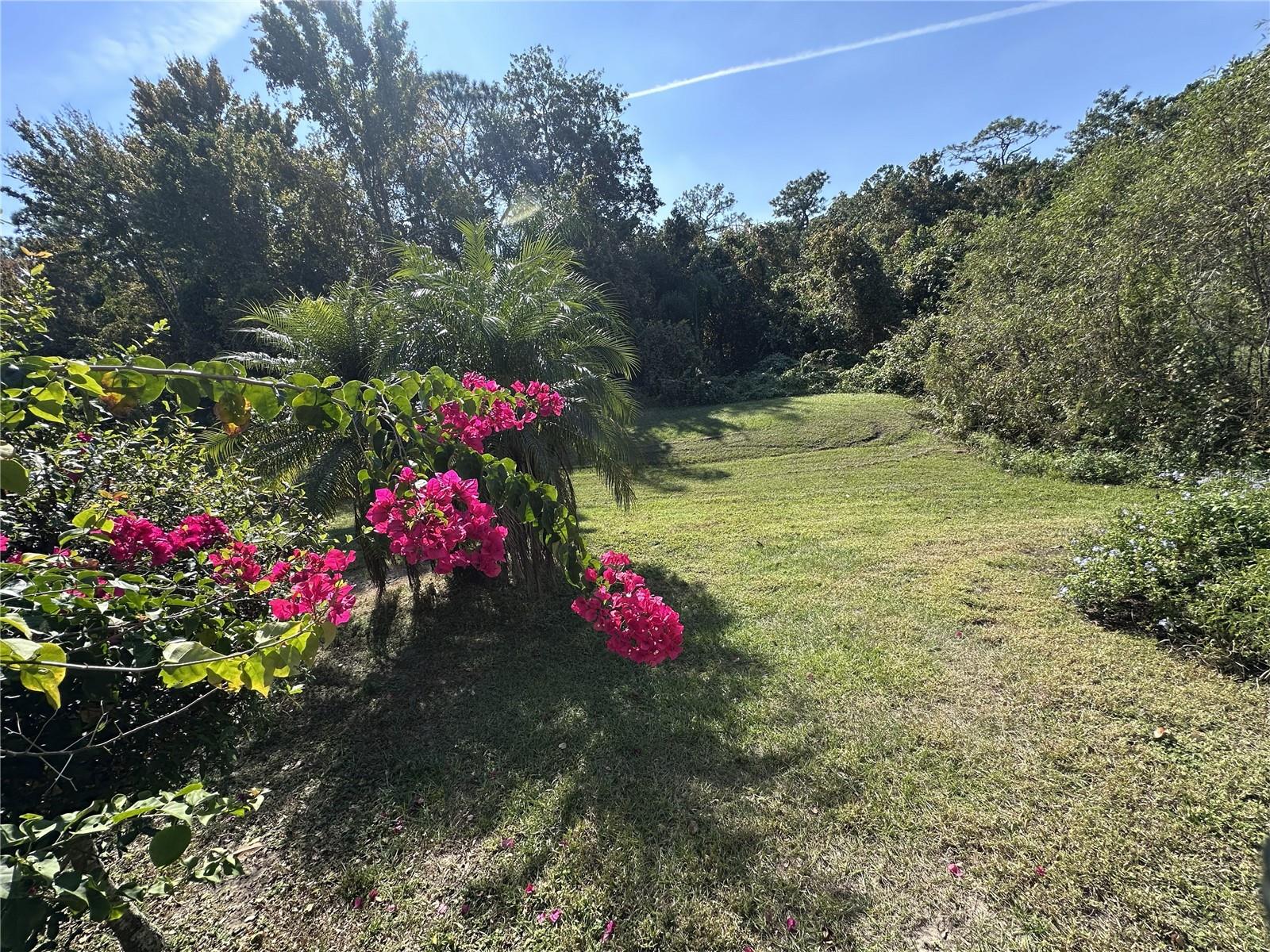 Image 33 of 38 For 515 Whittier Street