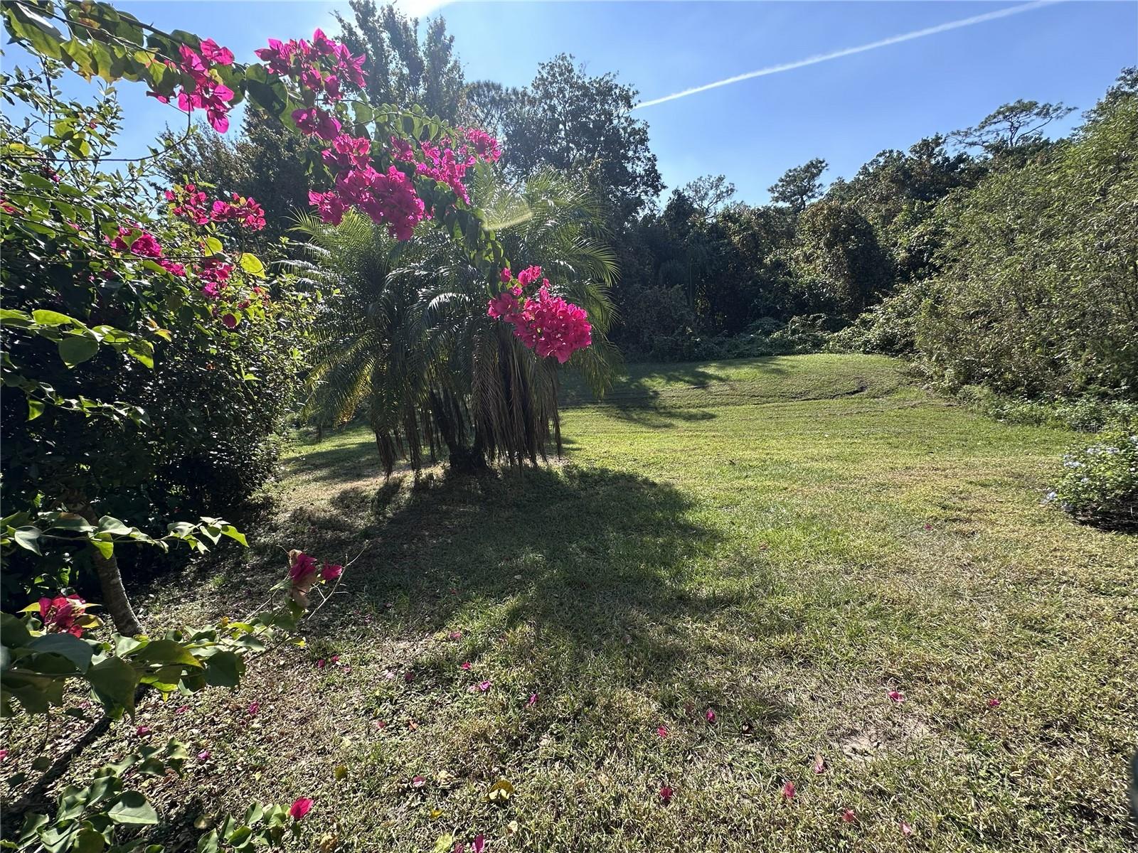 Image 34 of 38 For 515 Whittier Street