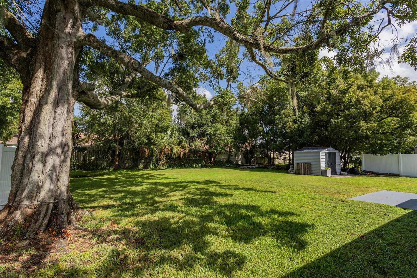 Image 15 of 15 For 1907 Brown Street