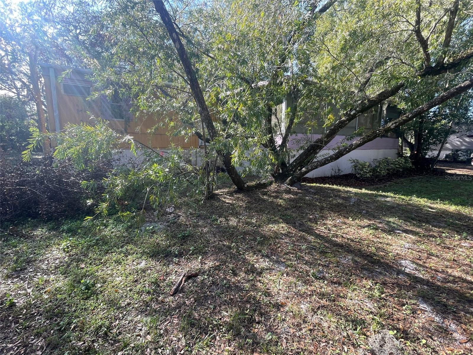 Image 3 of 25 For 15756 Trigonia Street