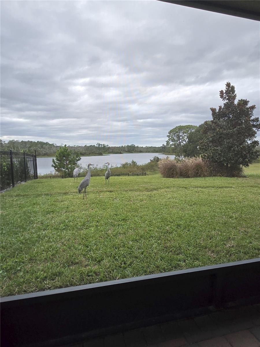 Image 30 of 37 For 9406 Bolero Road