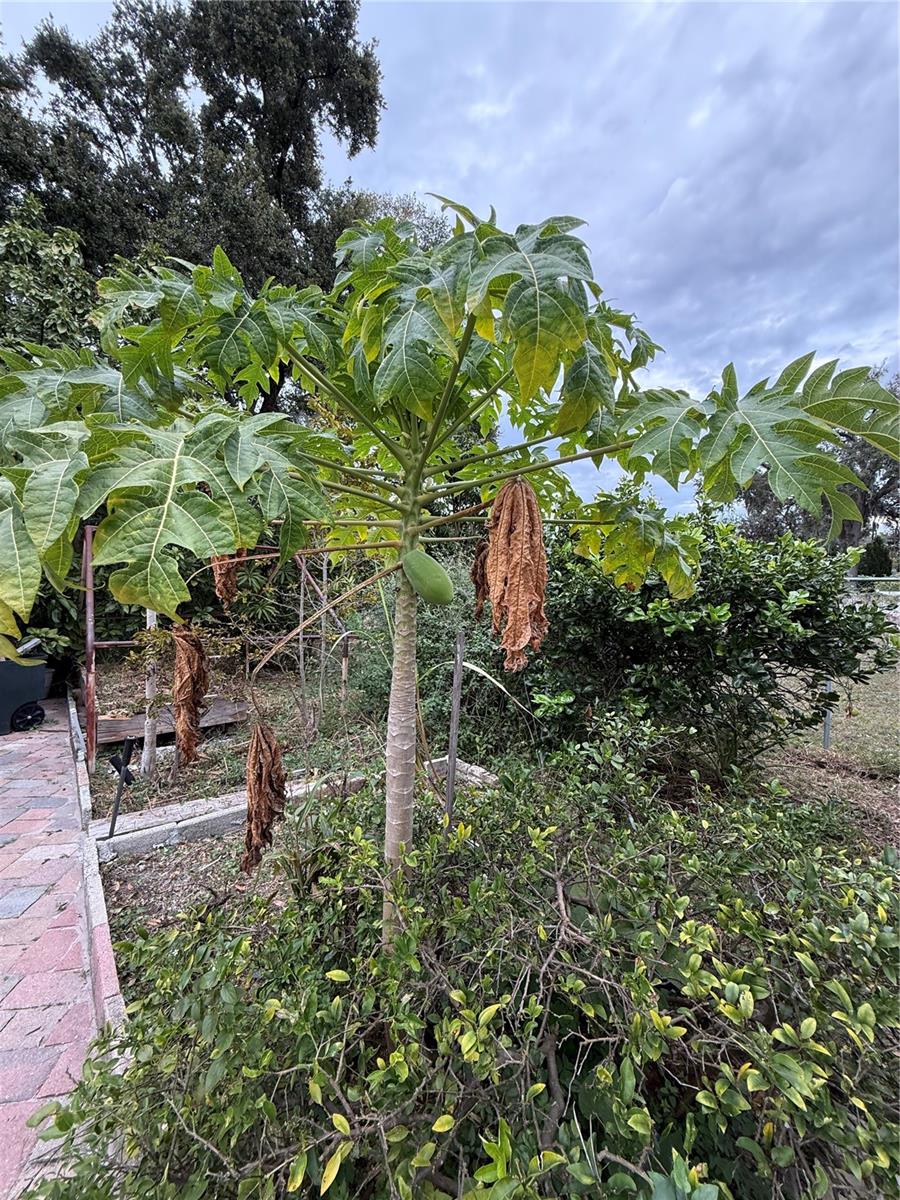 Image 13 of 18 For 3507 Curtis Drive