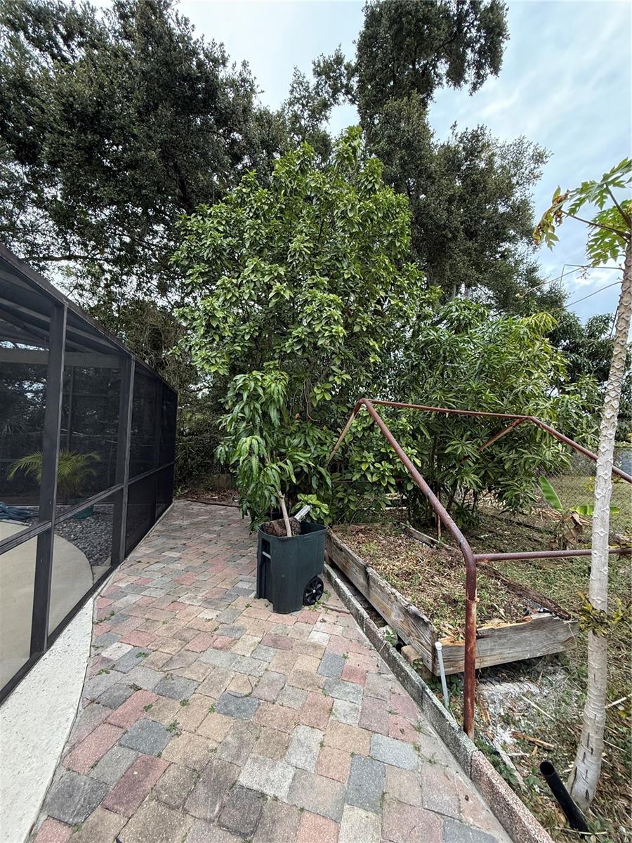 Image 14 of 18 For 3507 Curtis Drive