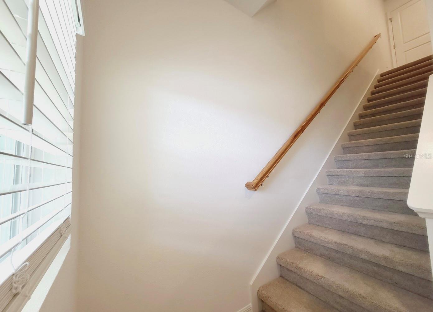 Image 9 of 17 For 1811 Roosevelt Place