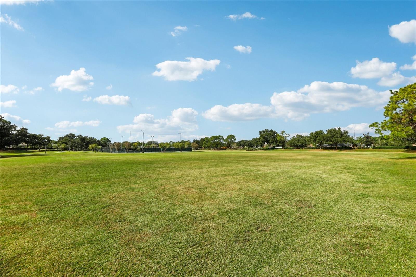 Image 38 of 46 For 2337 Runyon Court