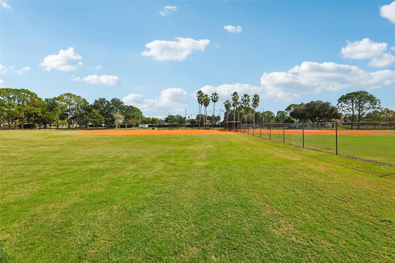 Image 41 of 46 For 2337 Runyon Court