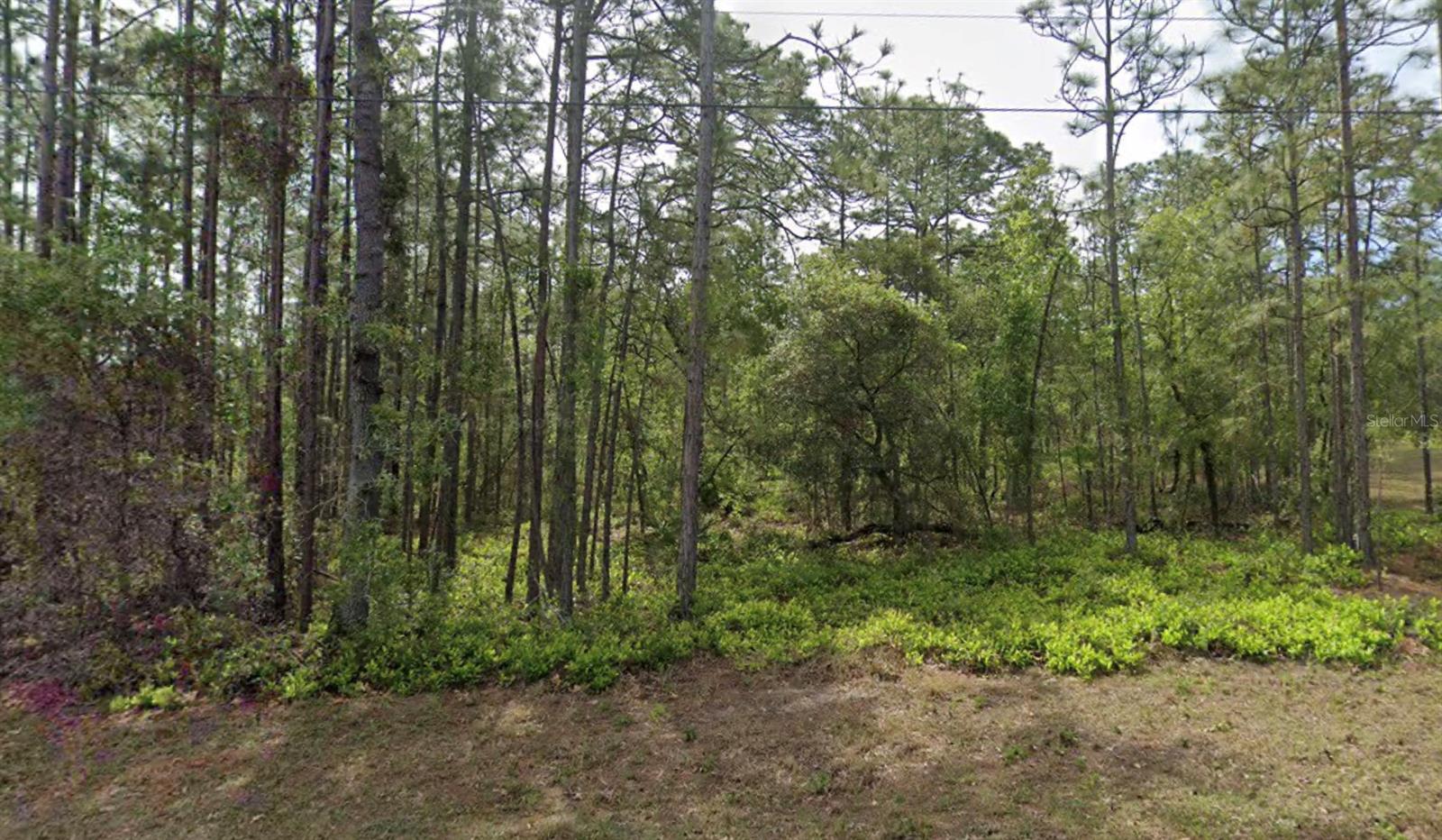 Image 2 of 2 For 1 Sanders Court W