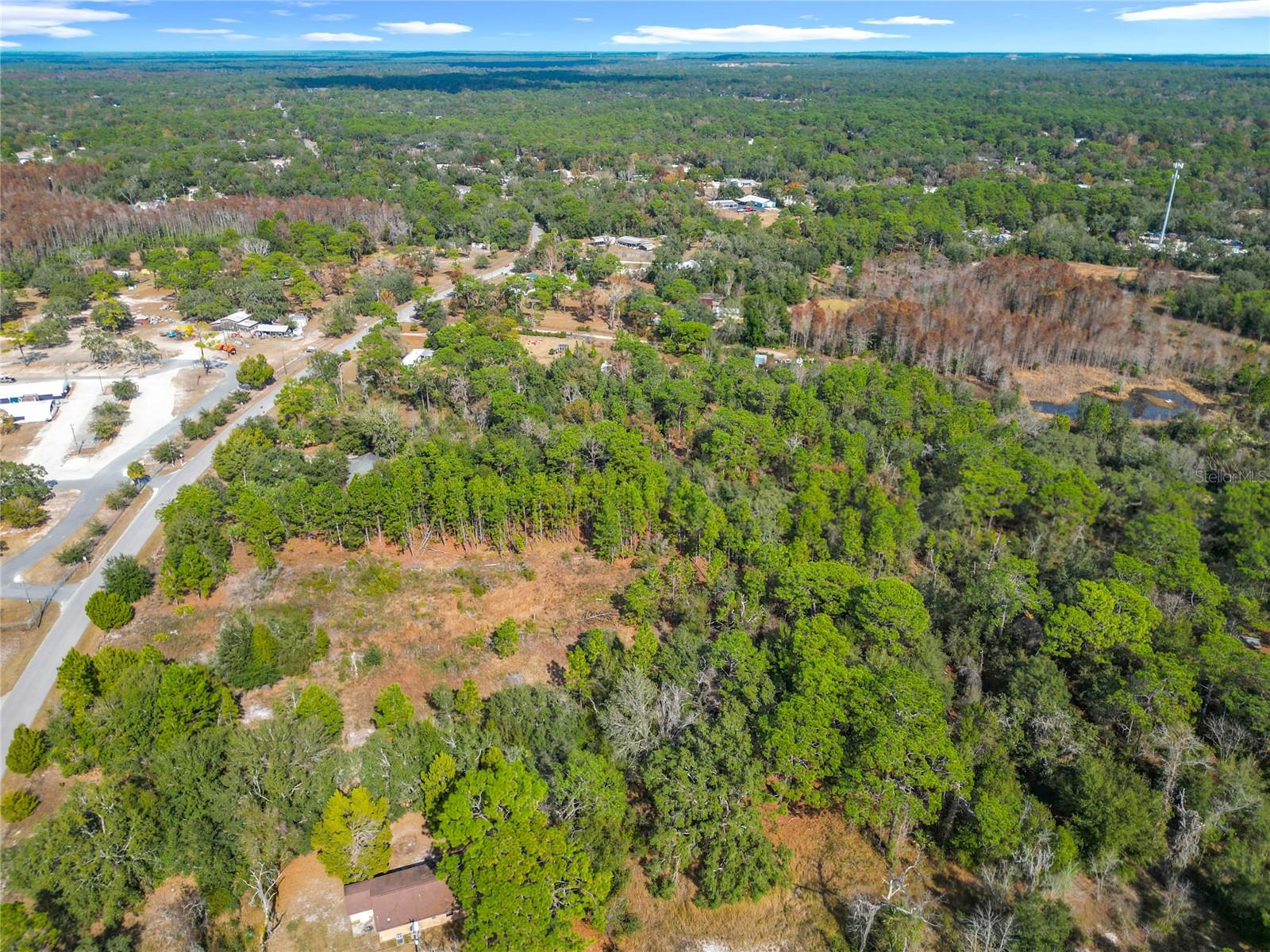 Listing photo id 54 for 6359 Lewdingar Drive