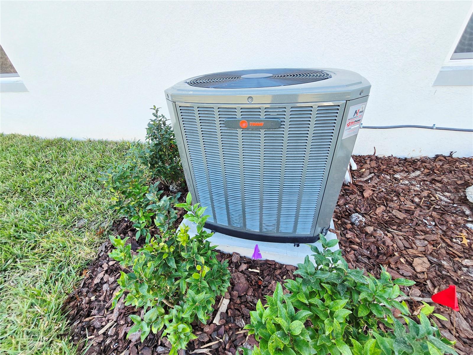 Image 25 of 67 For 6 Calendula Court