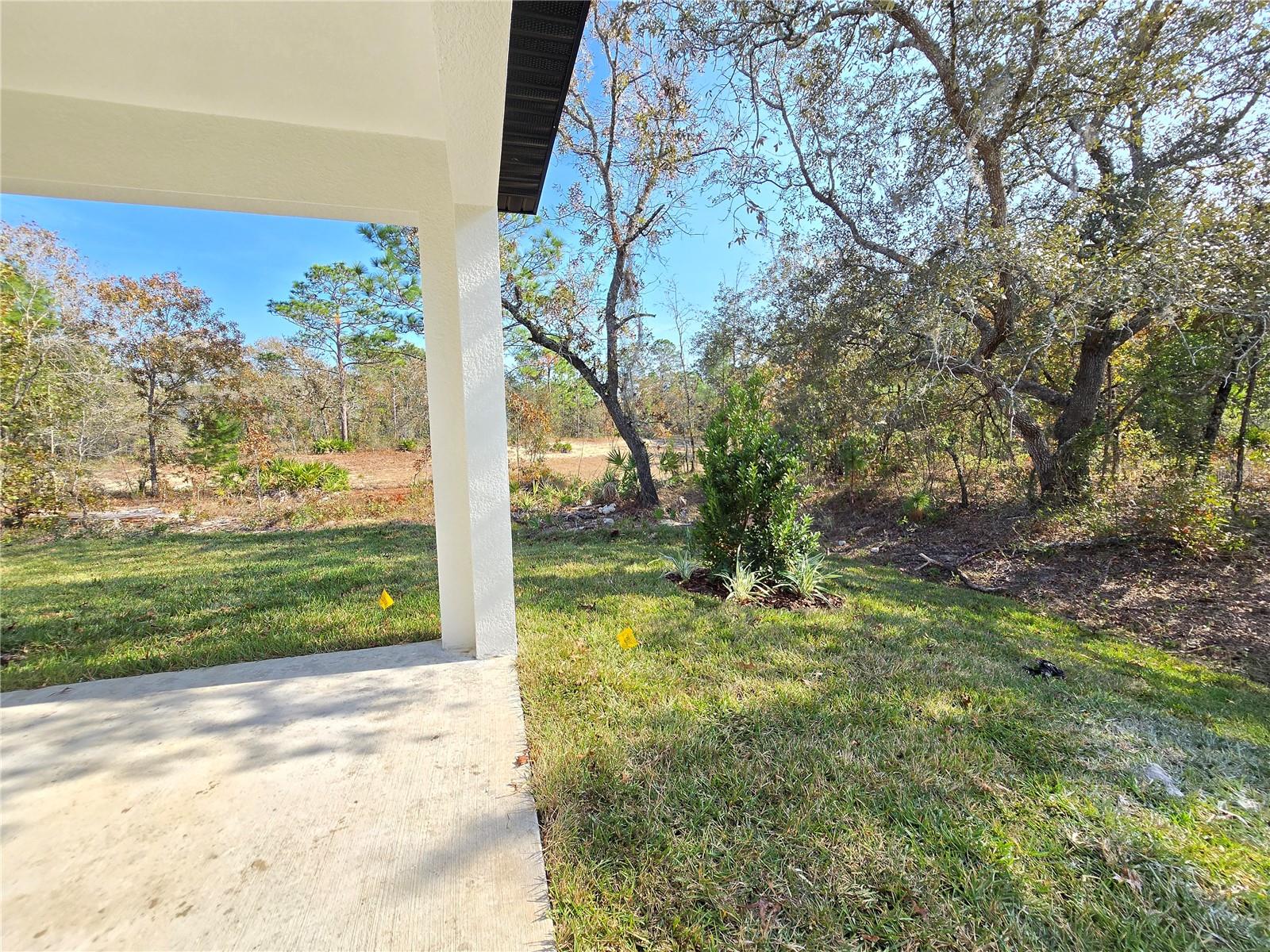 Image 29 of 67 For 6 Calendula Court