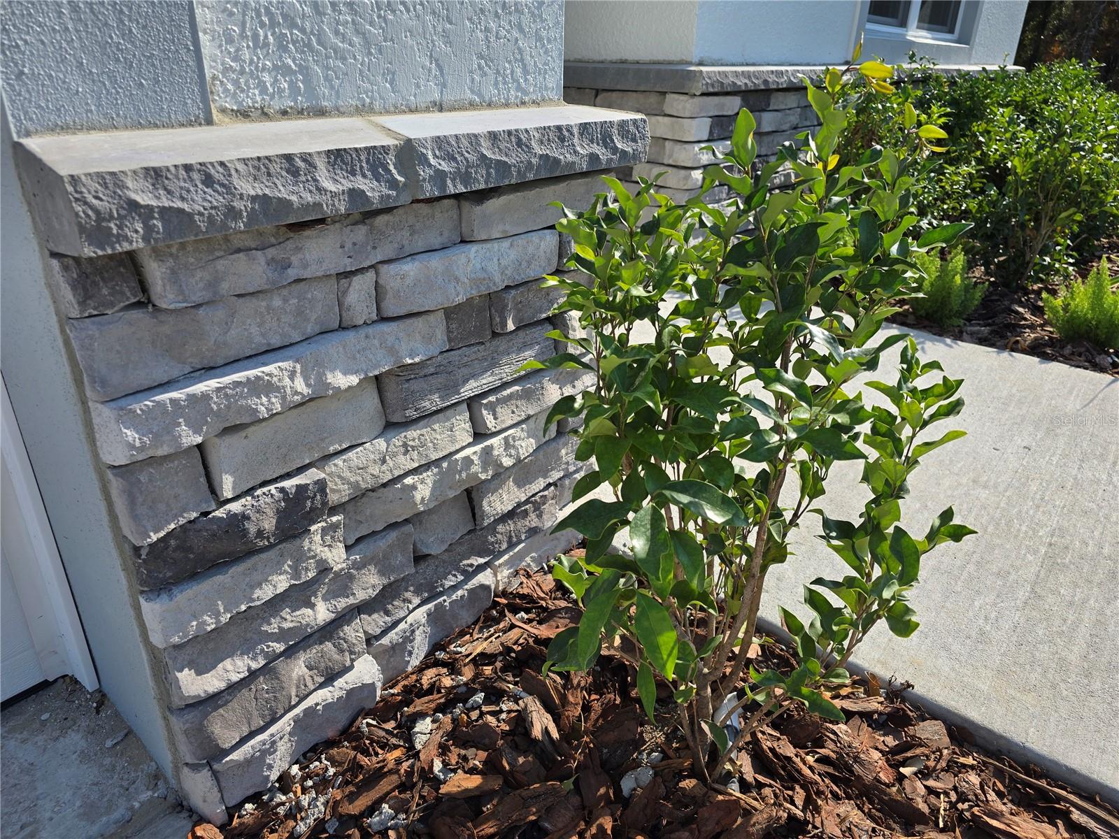 Image 41 of 67 For 6 Calendula Court