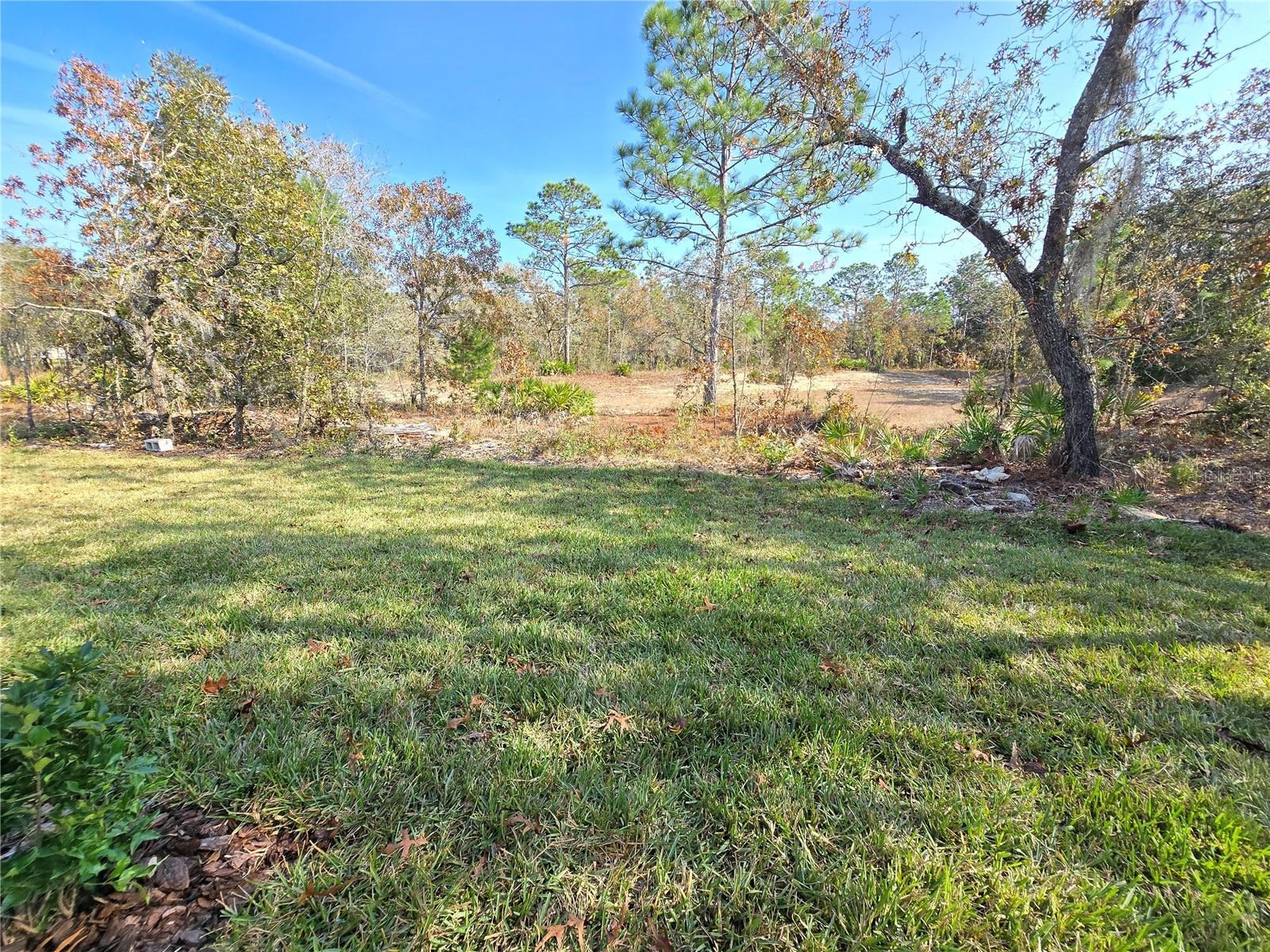 Image 67 of 67 For 6 Calendula Court