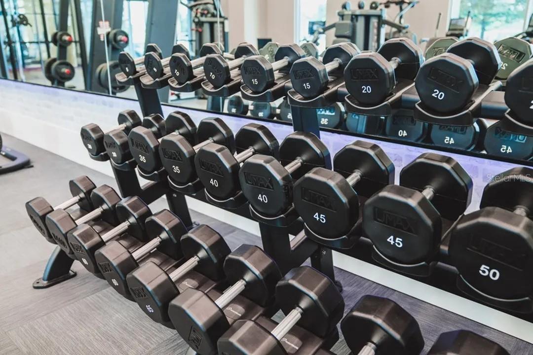 Image 8 of 25 For 503-1 Chatham Avenue