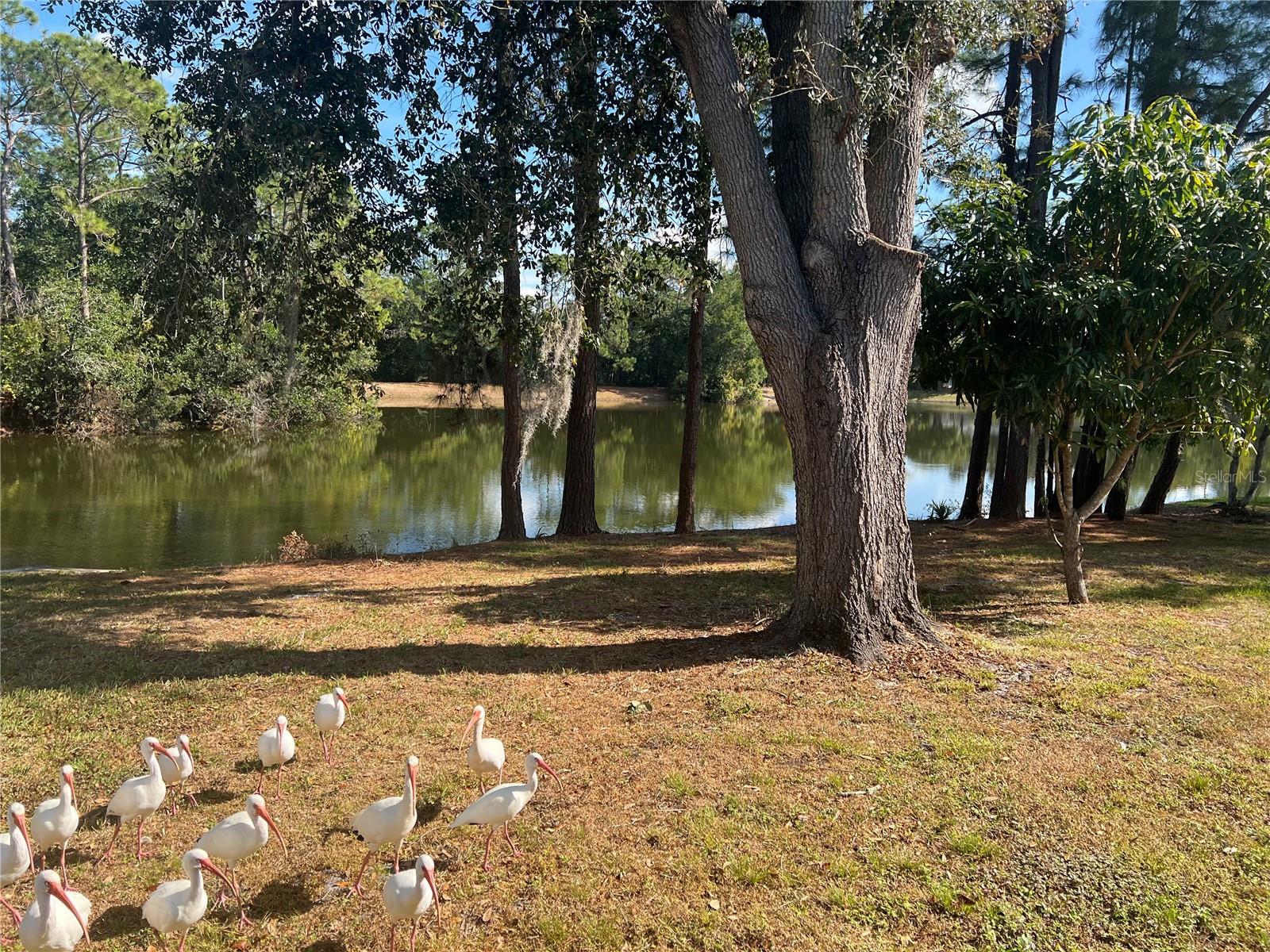 Image 23 of 24 For 3721 Pickwick Drive