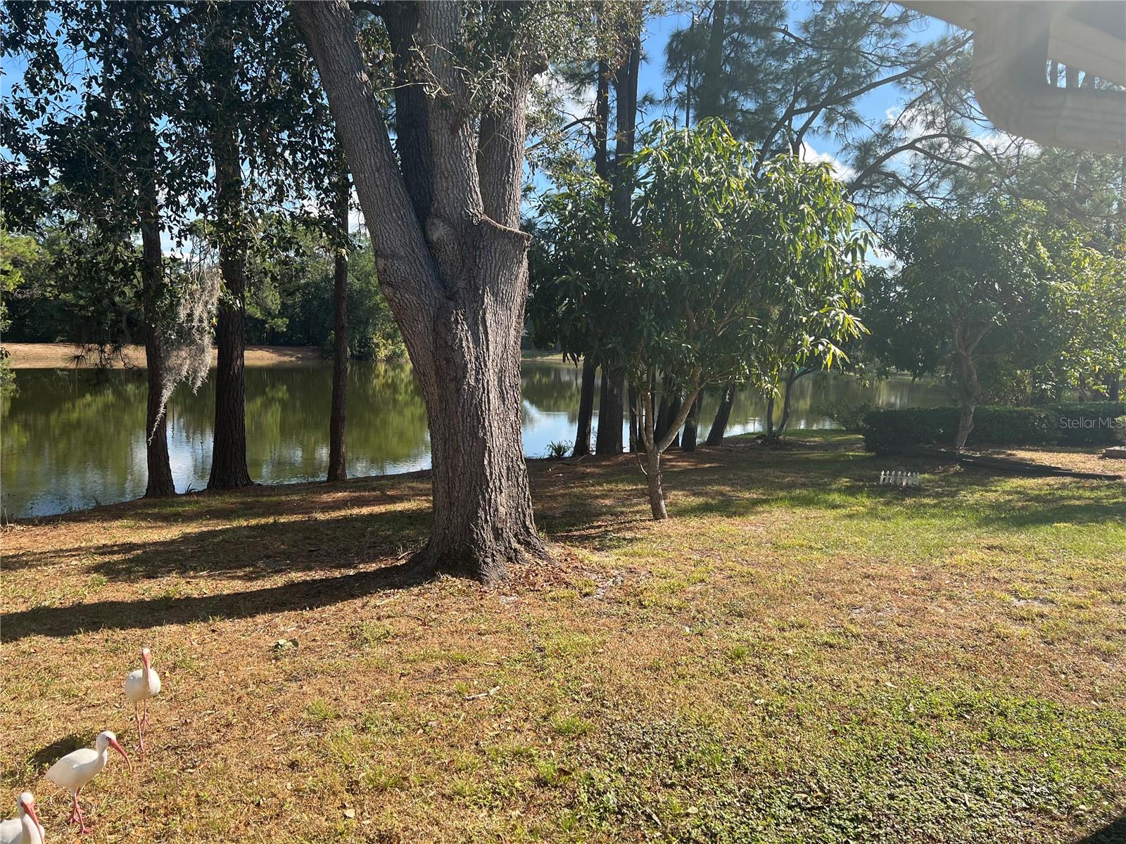 Image 24 of 24 For 3721 Pickwick Drive