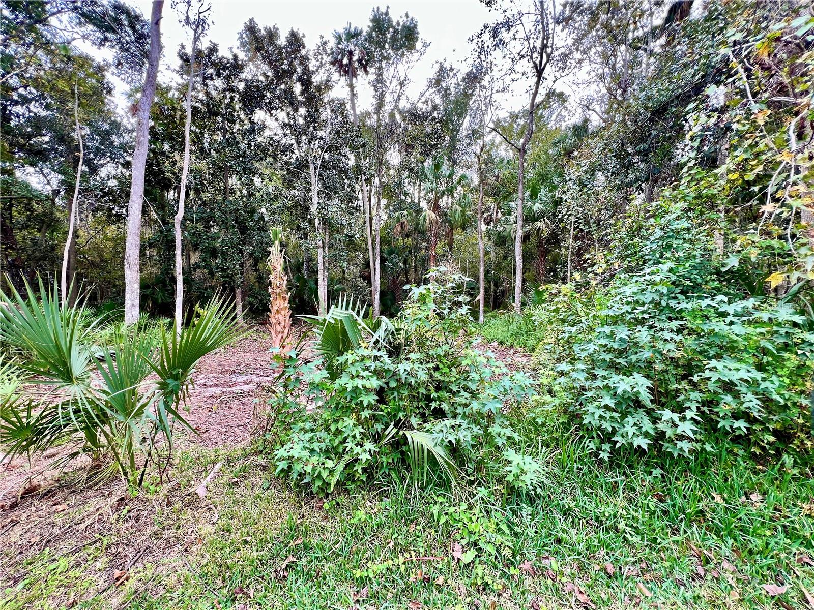 Image 20 of 39 For 839 Lake Evalyn Drive