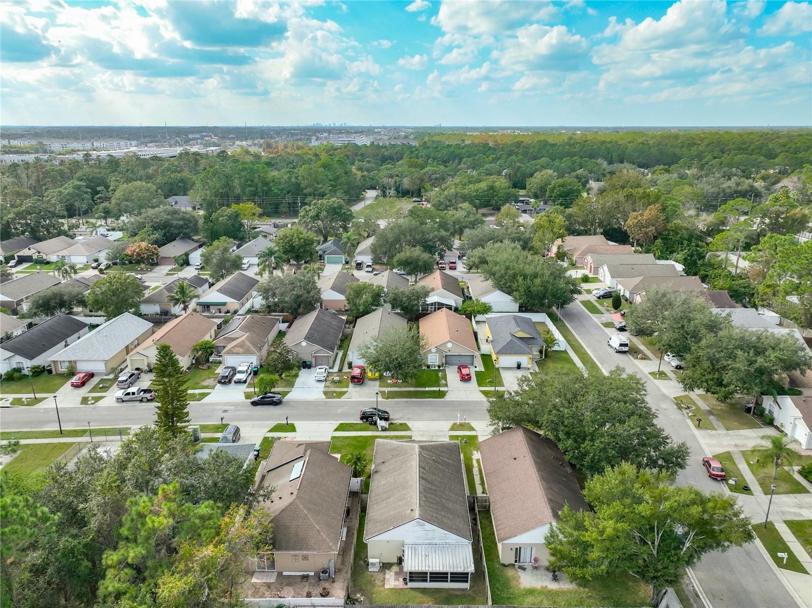 Image 26 of 27 For 12905 Odyssey Lake Way