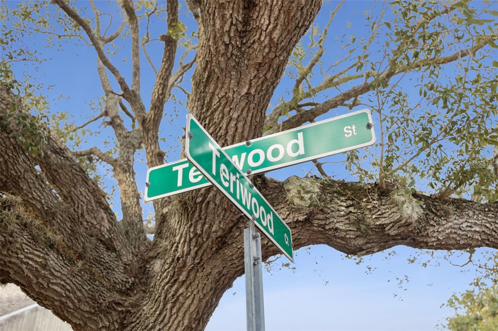 Image 39 of 63 For 136 Teriwood Court