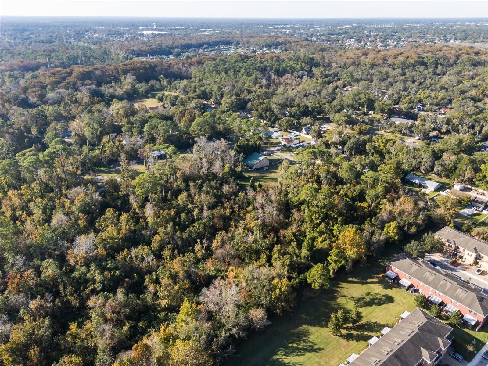 Image 11 of 18 For Hill Top Drive