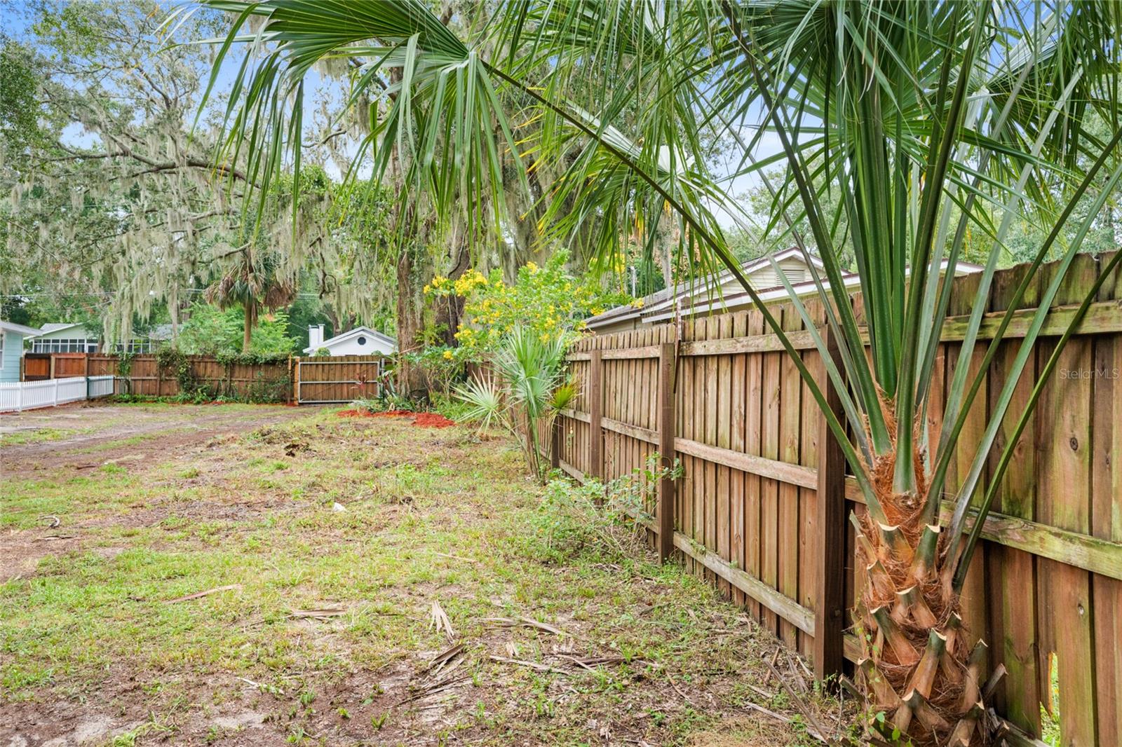 Image 30 of 39 For 245 Rhodes Street