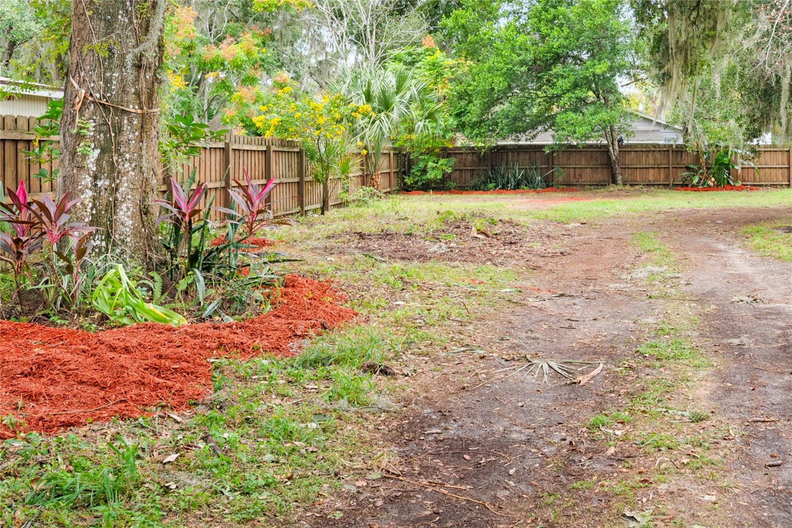 Image 31 of 39 For 245 Rhodes Street