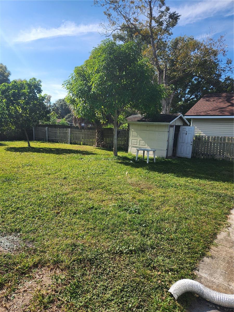 Image 4 of 6 For 708 Miller Street