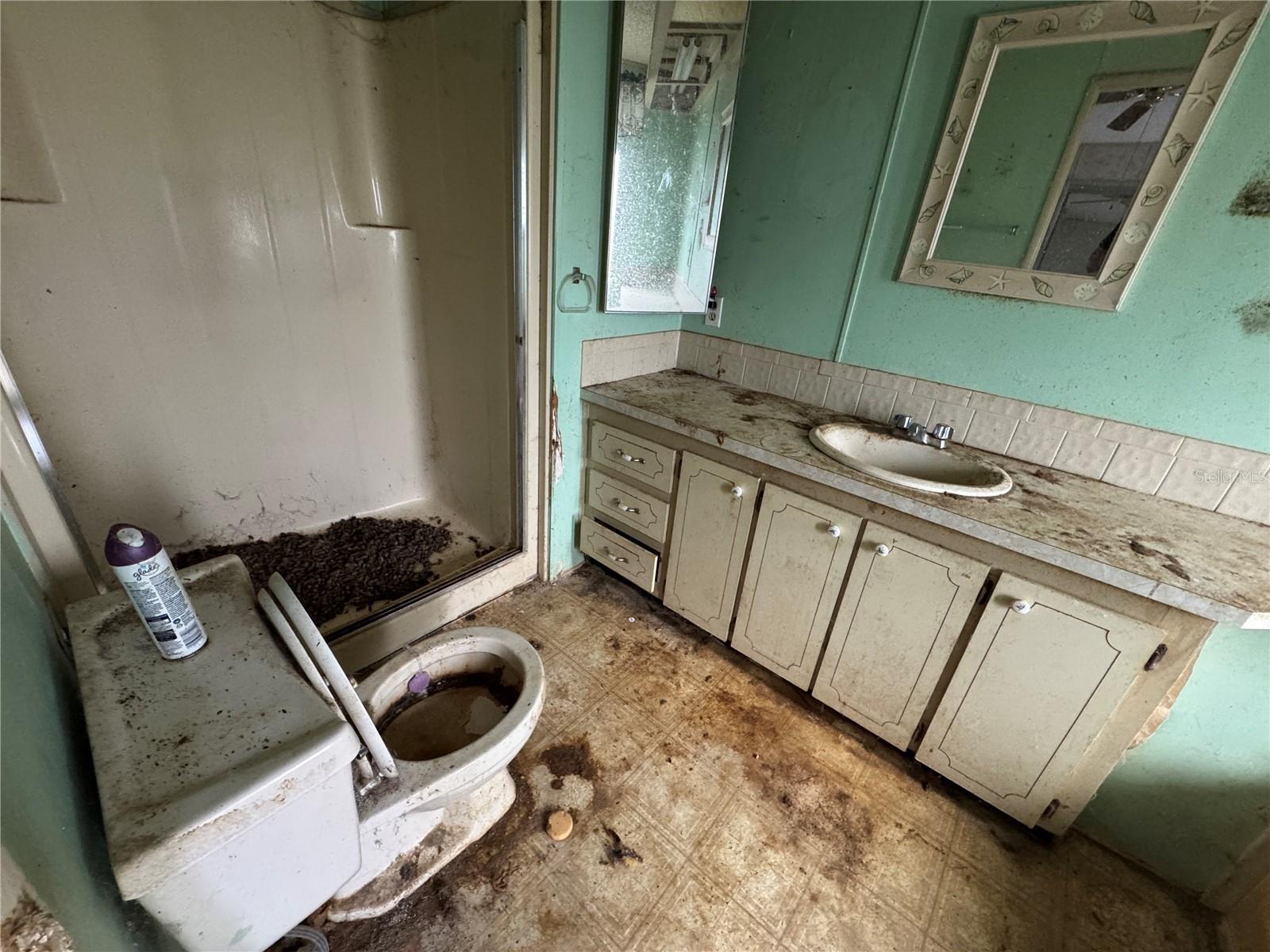 Image 20 of 25 For 217 Ellsworth Drive