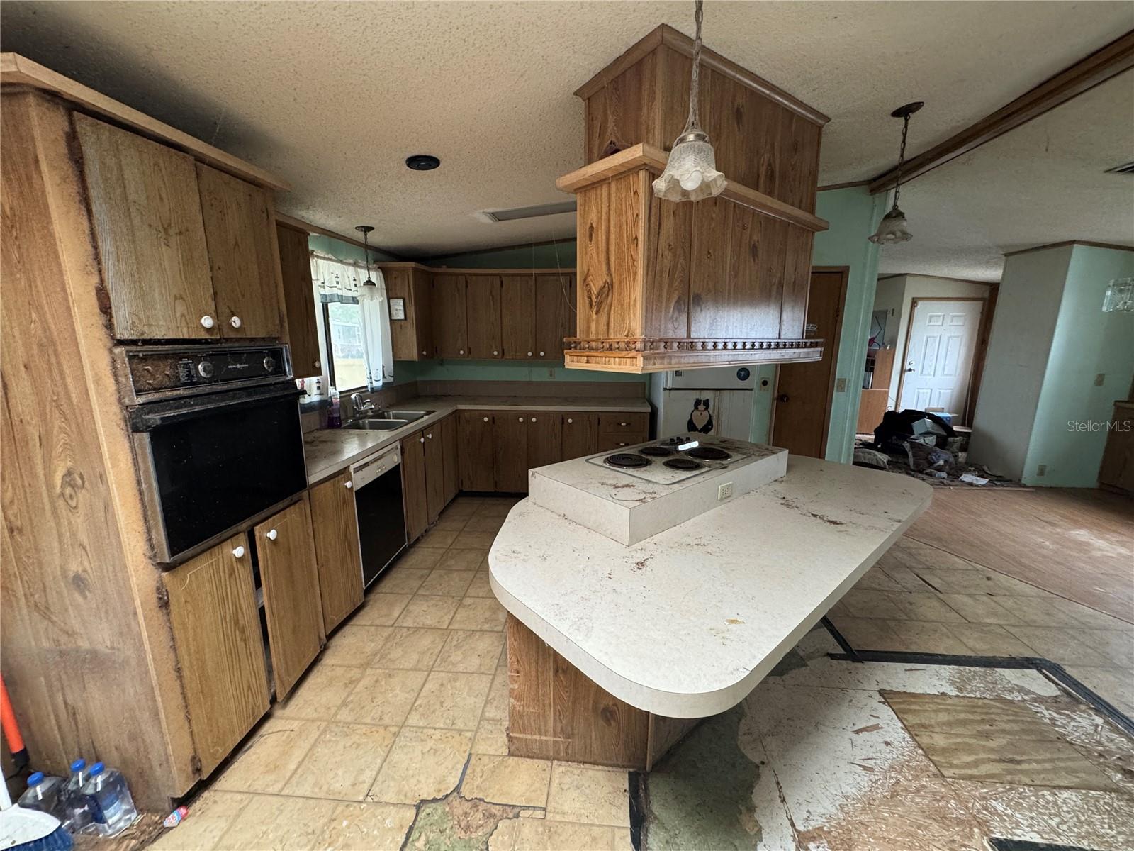 Image 7 of 25 For 217 Ellsworth Drive