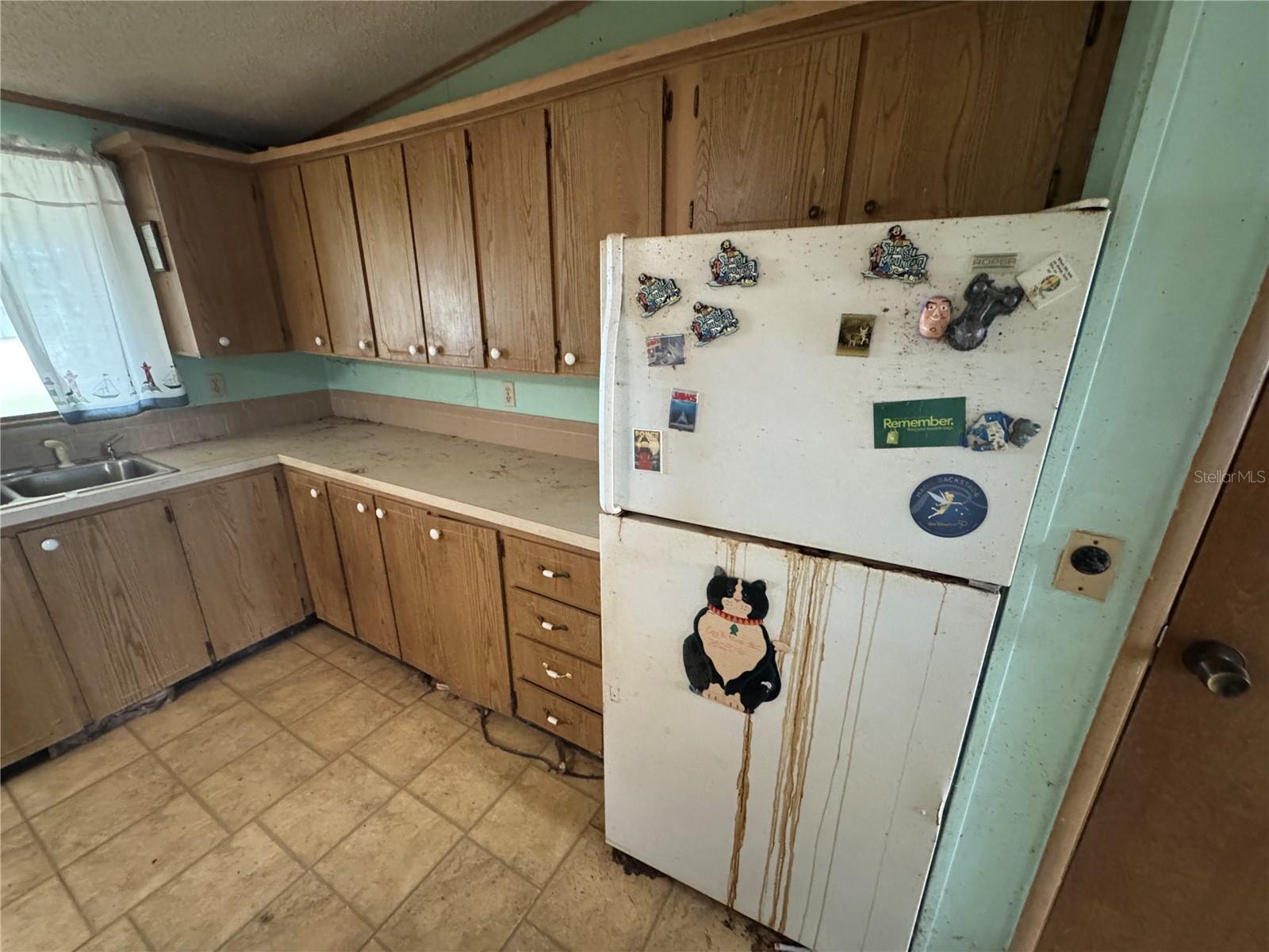 Image 9 of 25 For 217 Ellsworth Drive