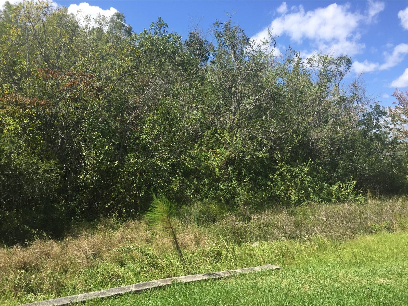 Image 16 of 16 For 2219 San Vittorino Circle 105