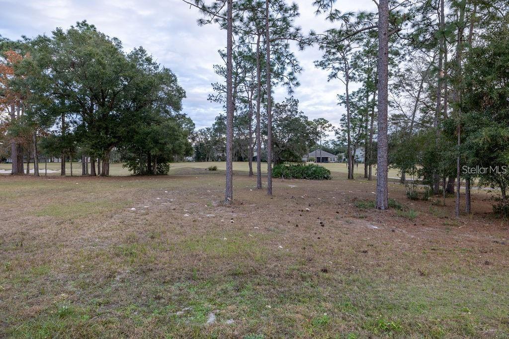 Image 29 of 29 For 223 Cherokee Hill Court