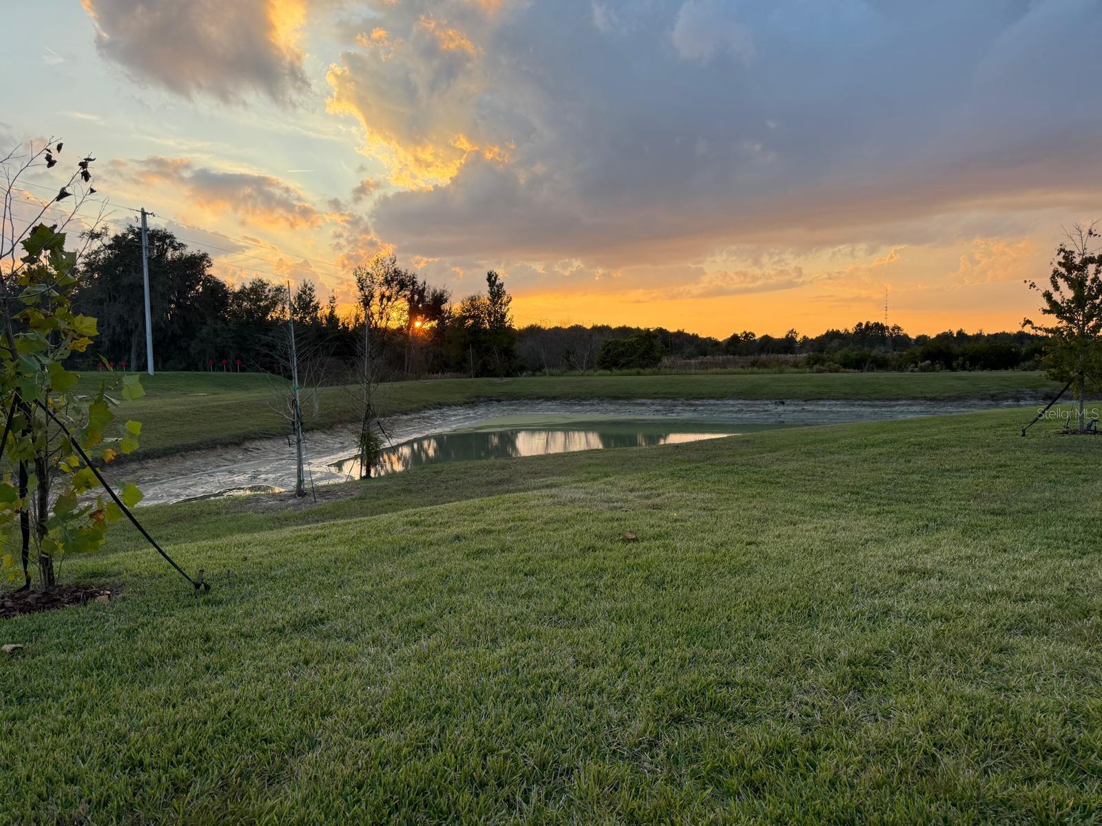 Image 34 of 35 For 31740 Griffin Sands Lane