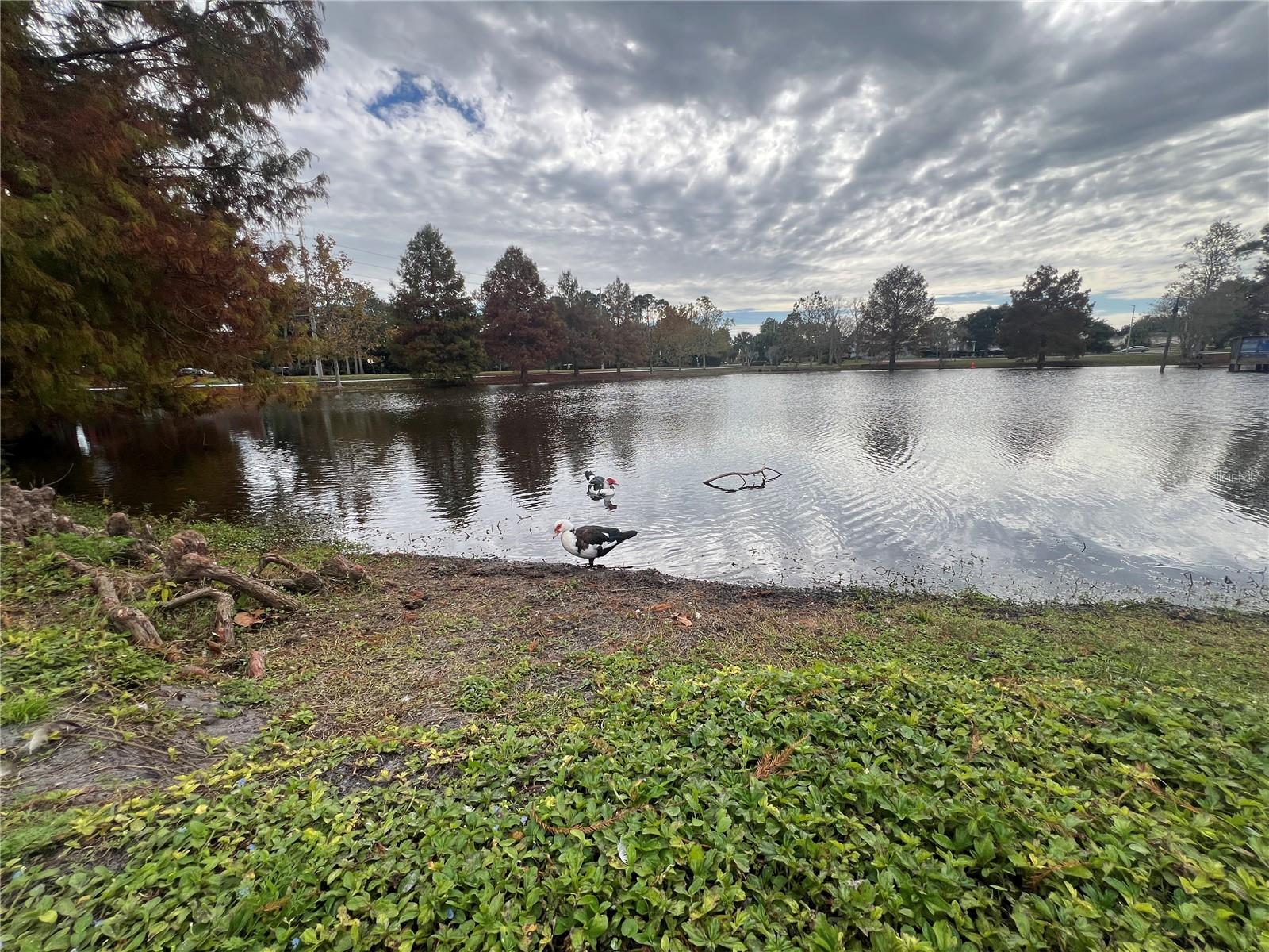 Image 37 of 40 For 140 N. Fairfax