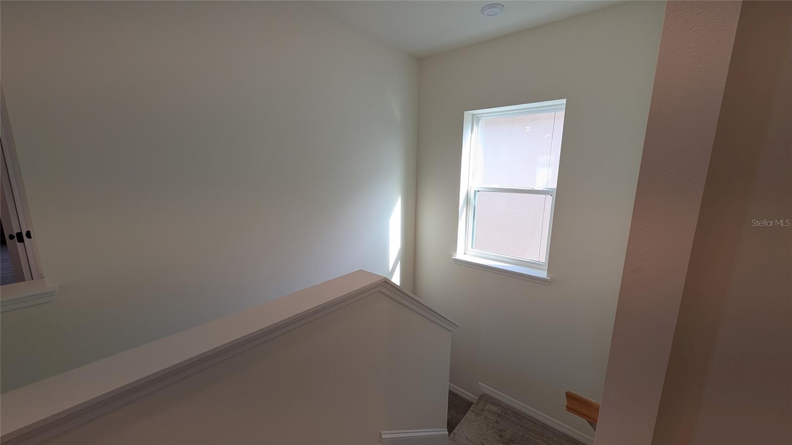 Image 19 of 74 For 1127 Wildmeadow Run